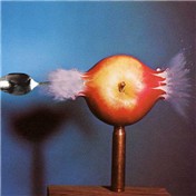 Spoon Going Through Apple — xd3333
