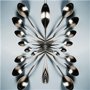 Spoonfly — RachelB