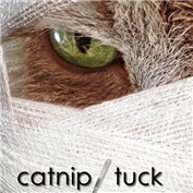 Animal TV