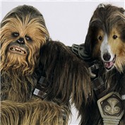 Chewie and Lassie — Tonebarge