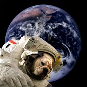 SPace Bulldog — Artifakts