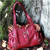 Handbag — anacist