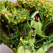 Edible Architecture 9