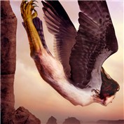The Descent — Onanymous