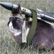 Bunny — bremsklotz