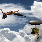 Birdman Land — carlosnumbertwo
