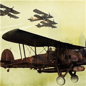 Old Fly — furfree