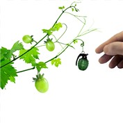 Explosive Grapes — Nonian