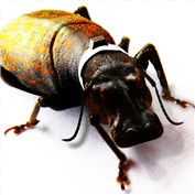 hyppocondria — bacarrat