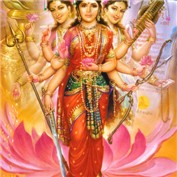 Salma Shakti — RavenNight