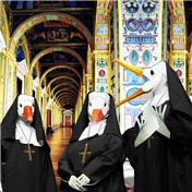 TOURING THE VATICAN — pcysmith