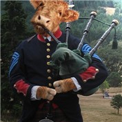 The Highlander — MissGator