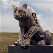 Waking Leopard — doehlman