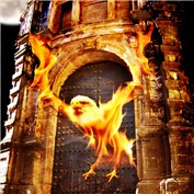 The Phoenix — tr3nt