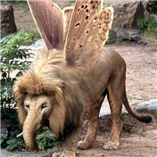 Butterfliophant — CCZ