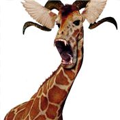 Longneck thing — Jolt