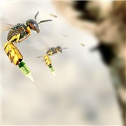 Wasp Syringe — stevedamouth