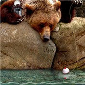 Natural Rejection 2