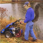 My Lawn Guy "Chip" — ConnieB