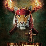 Tiger of Caribbean — viniod