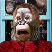 Monkey_Alone — peoresnada