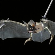 BattleBat to the rescue — Fishwife