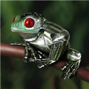 Armored Animals