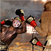 boxing monkeys  — siemhustler