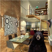 bear home — darksnake