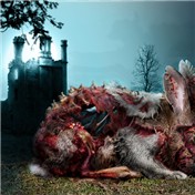 Animal Zombies