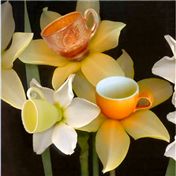 tea cups — daisiem
