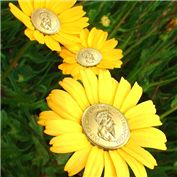 Coin Flowers — molf