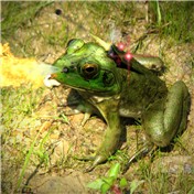 Battlefrog — EphexDesign