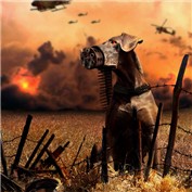 Animal Warfare