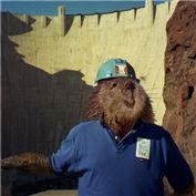 Leave It to Beavers — Vortex