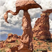 Balanced Flamingo — Ender772