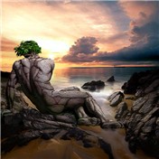 PS Bonus Contest: Canvas Earth 10
