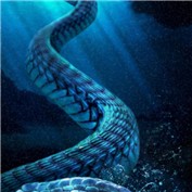 Cryptozoo 8