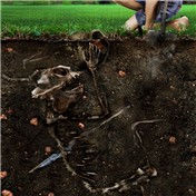 PS Bonus Contest: Archaeological Anomalies 12