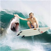 MASTER SURFER — fredreis
