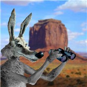 Wile E. Coyote — Merk13