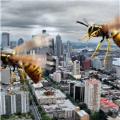 Swarm City — diamond350