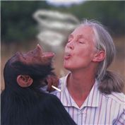 Smoking monkey — patoloco