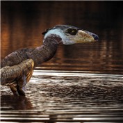 Jurassic Bird — michel2404