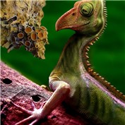 Extinct Animals 2