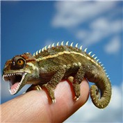 Dinocritter — steveRS