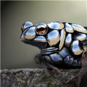 The toad — Vodoc1005