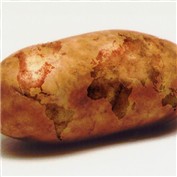 Worldwide Potato — puzzleheaded