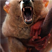 grizzleta — 1passible