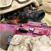 Pink Gun — batmaneatsoatmeal